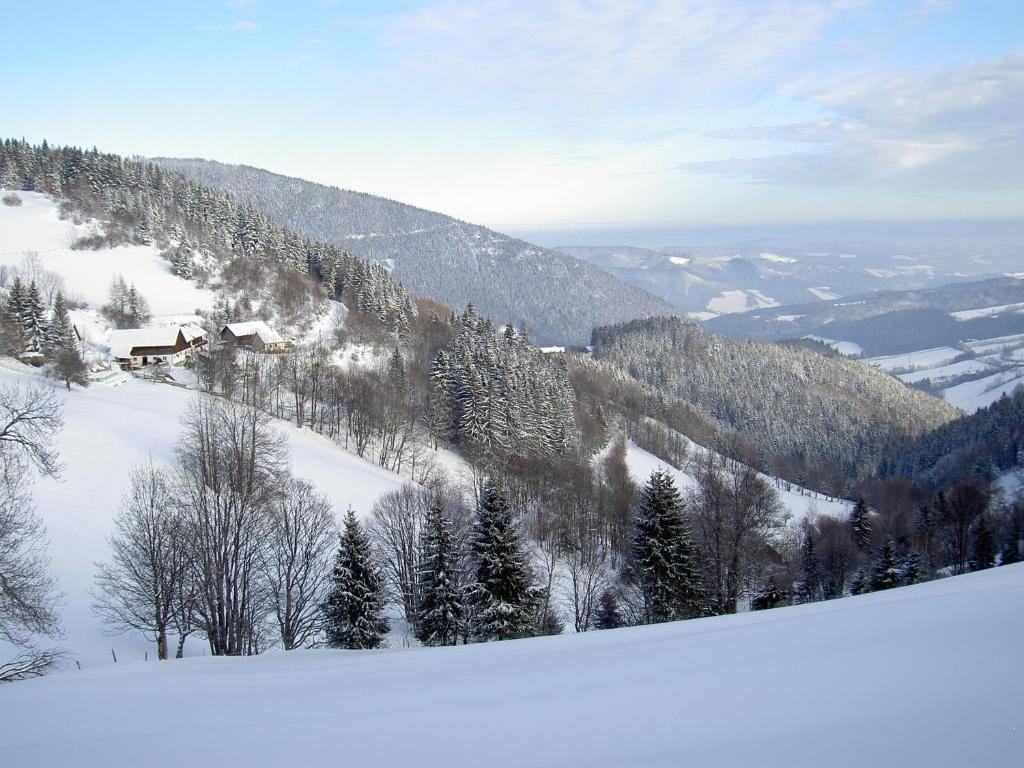 Almbauer Morgenbesser Trattenbach  Exterior photo